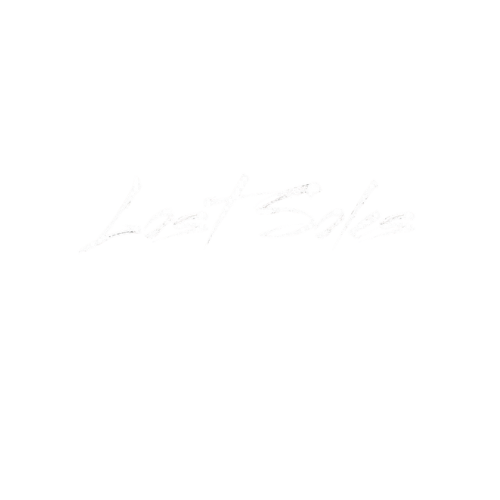 Lost Soles Lost Soles logo